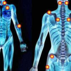 Premium Hijama Full Body Detox